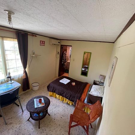 Aruba Backpackers Apartment Oranjestad Bagian luar foto