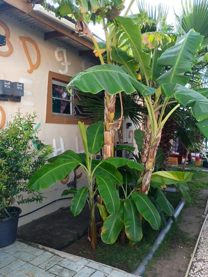 Aruba Backpackers Apartment Oranjestad Bagian luar foto