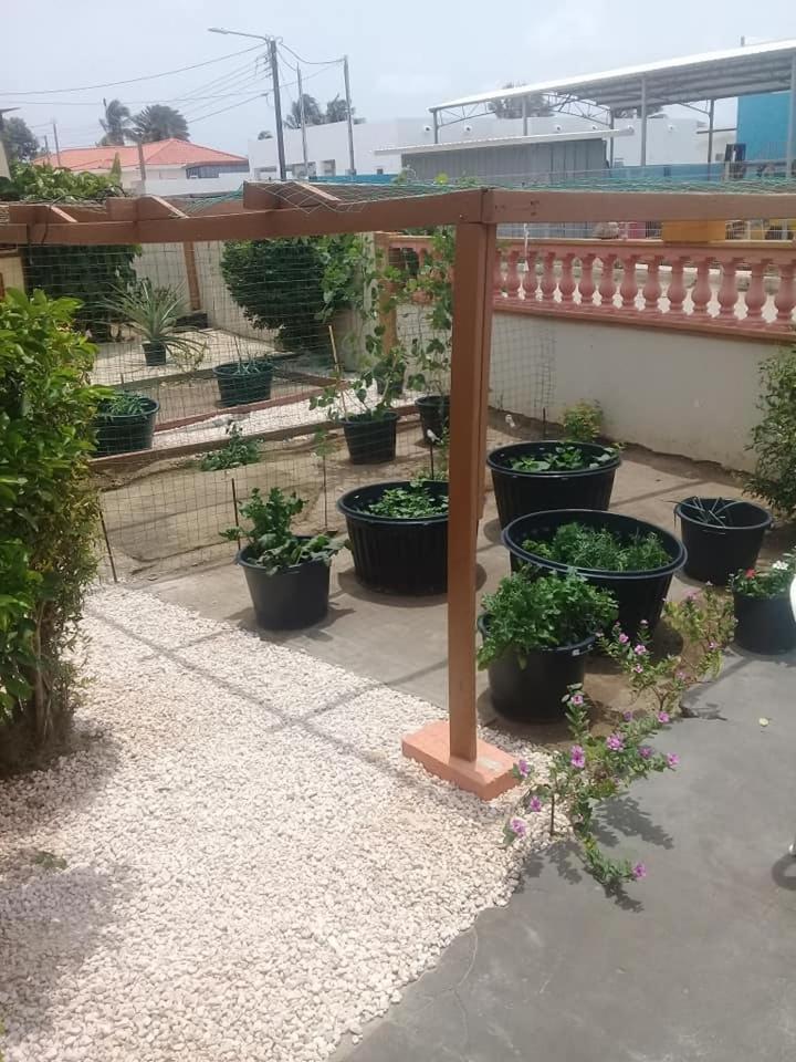 Aruba Backpackers Apartment Oranjestad Bagian luar foto