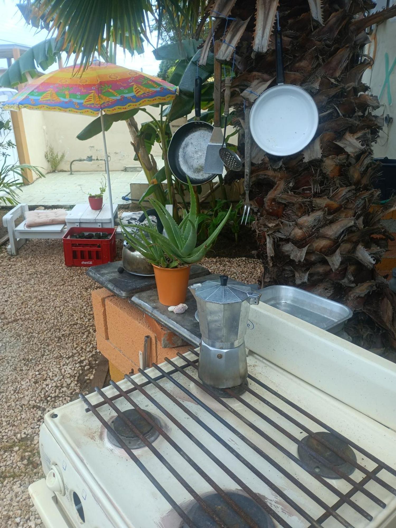 Aruba Backpackers Apartment Oranjestad Bagian luar foto